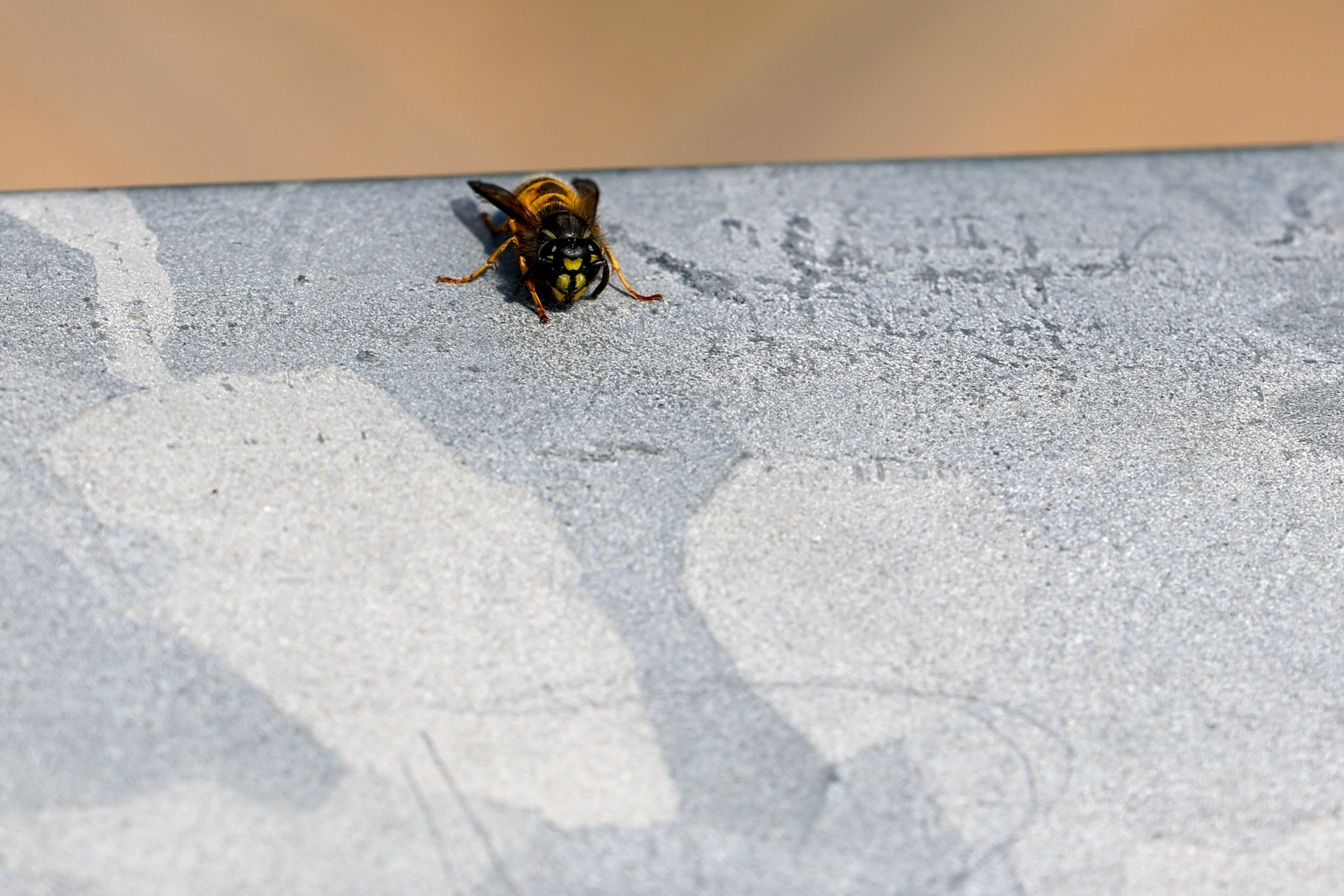 T 21-09-2025 0343.JPG