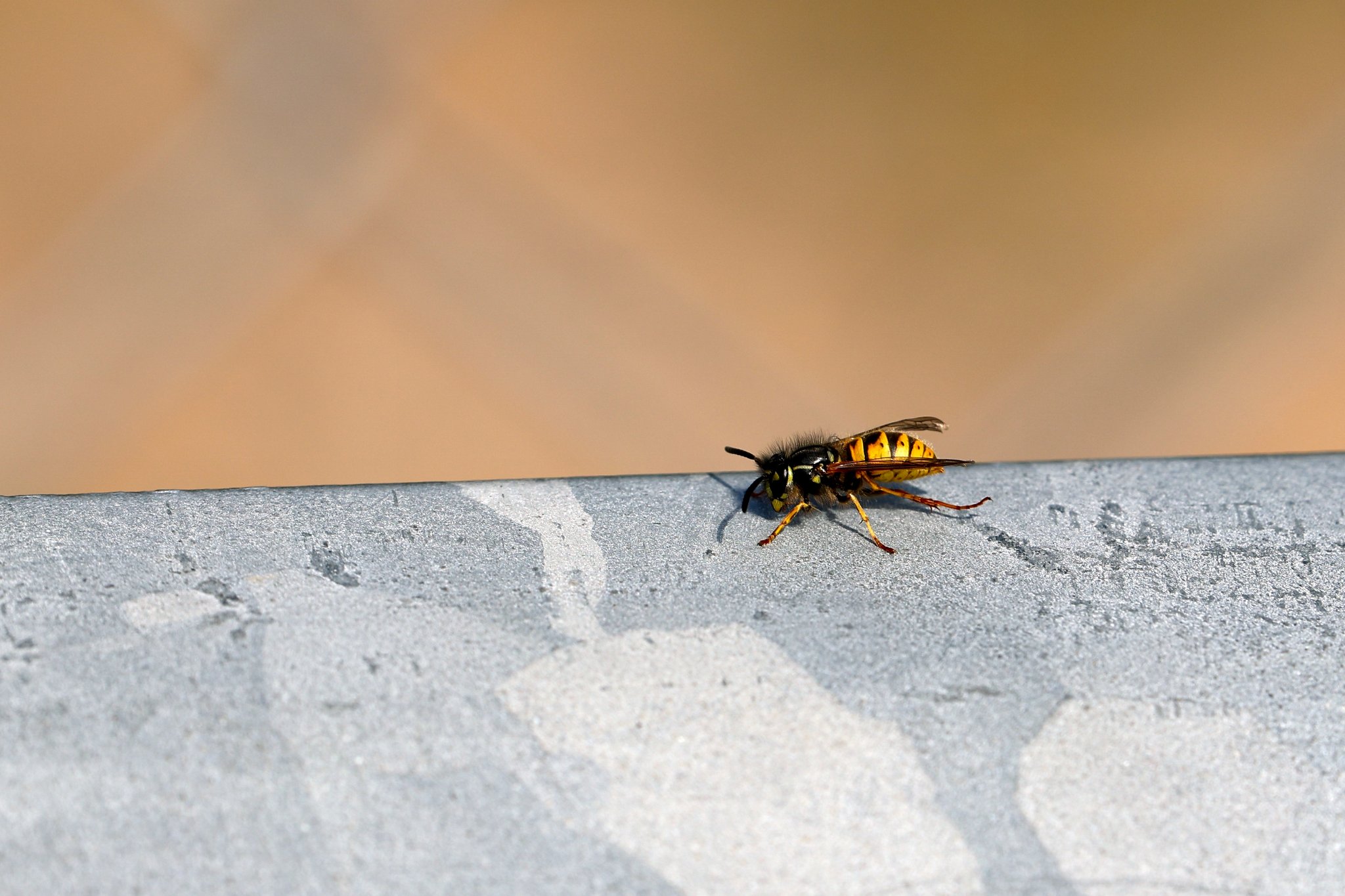 T 21-09-2025 0344.JPG