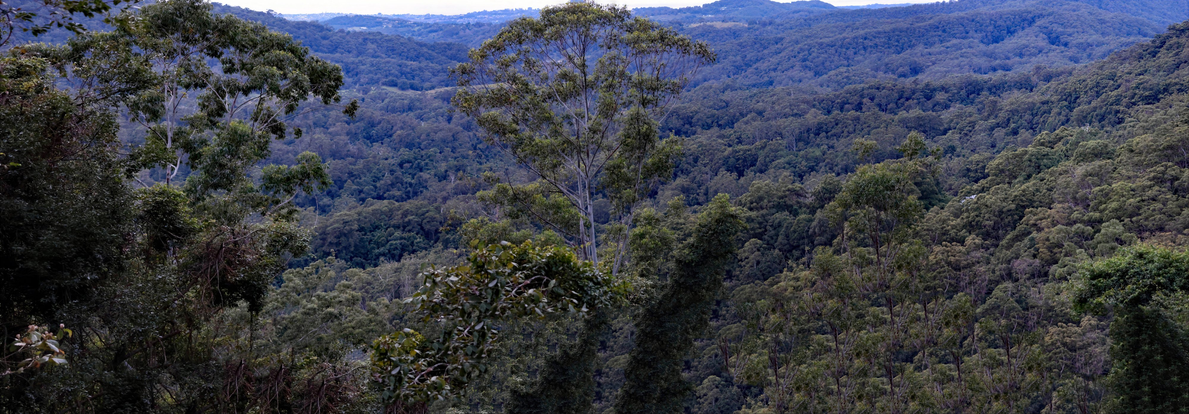 Tomewin NSW, stitch.