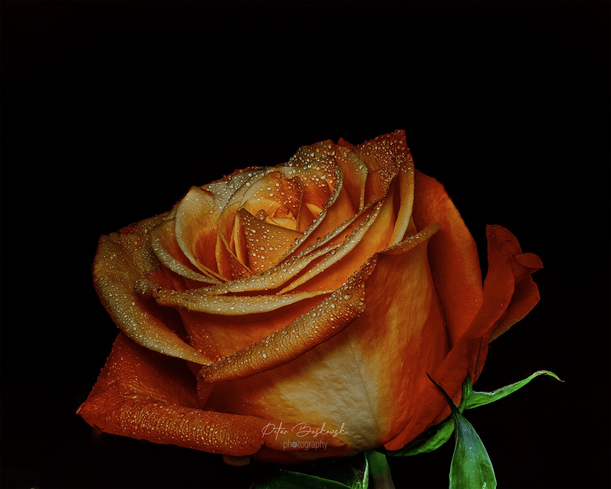 Untitled-31.jpg