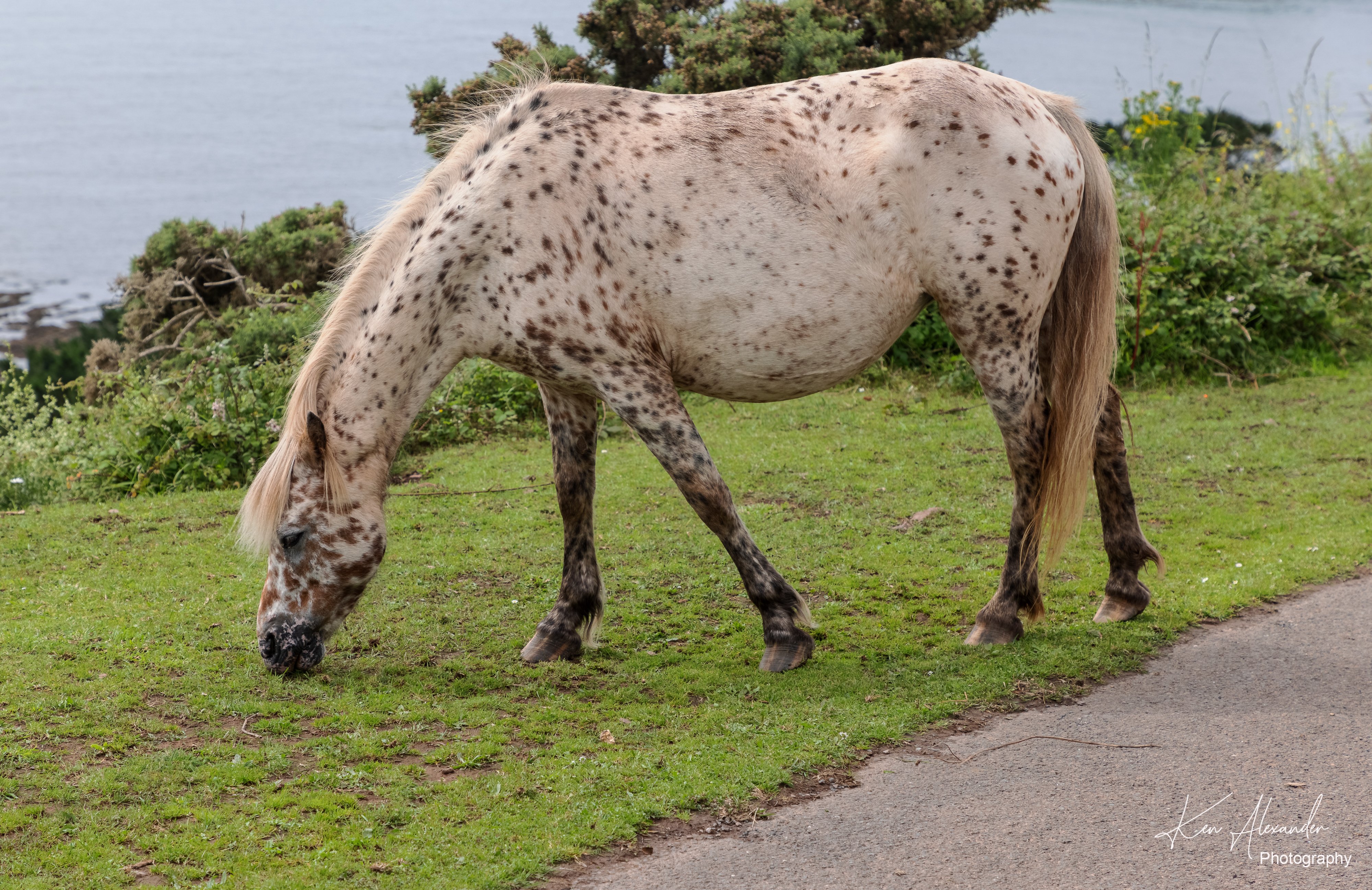 Wembury Hols-June_July-2021_KR5--473.jpg