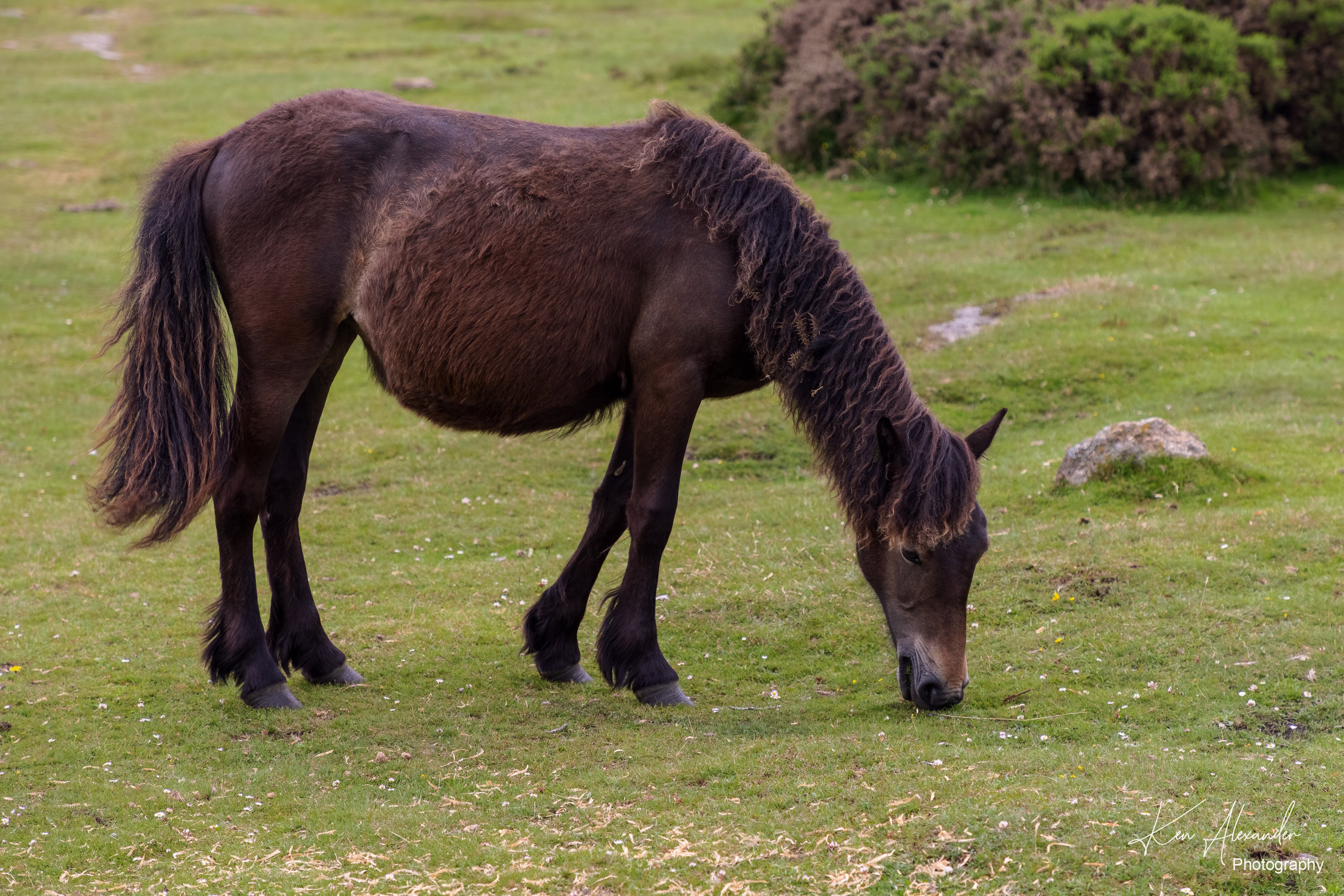 Wembury Hols-June_July-2021_KR5-593.jpg