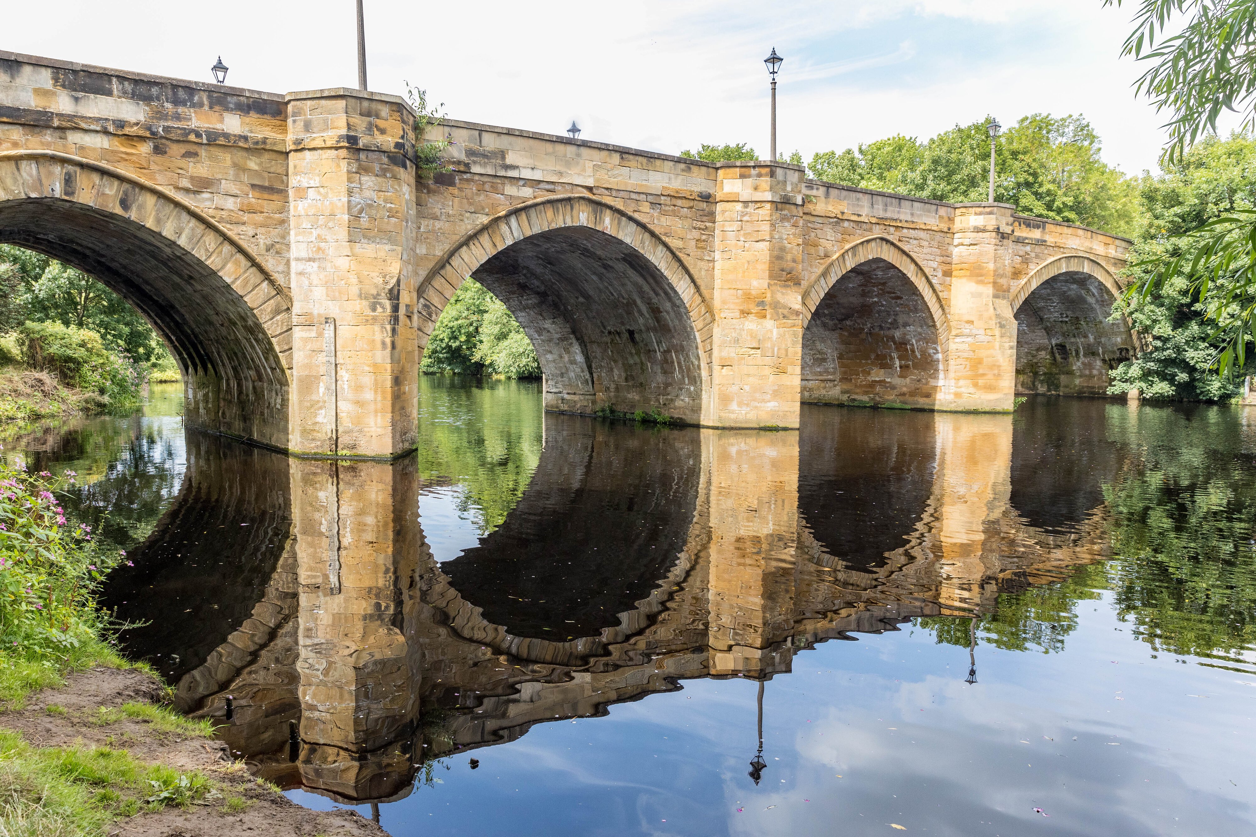 YARM & RIVER TEES_-10.jpg