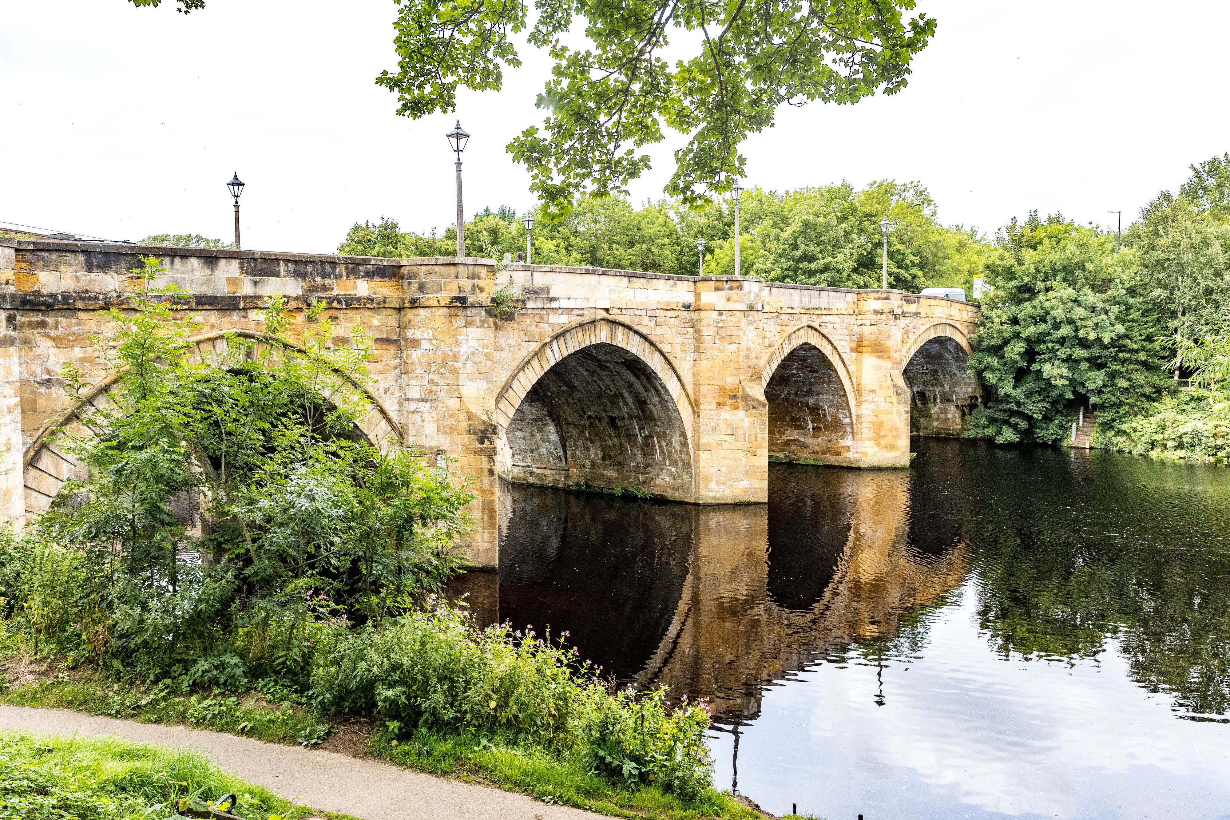 YARM & RIVER TEES_-9.jpg