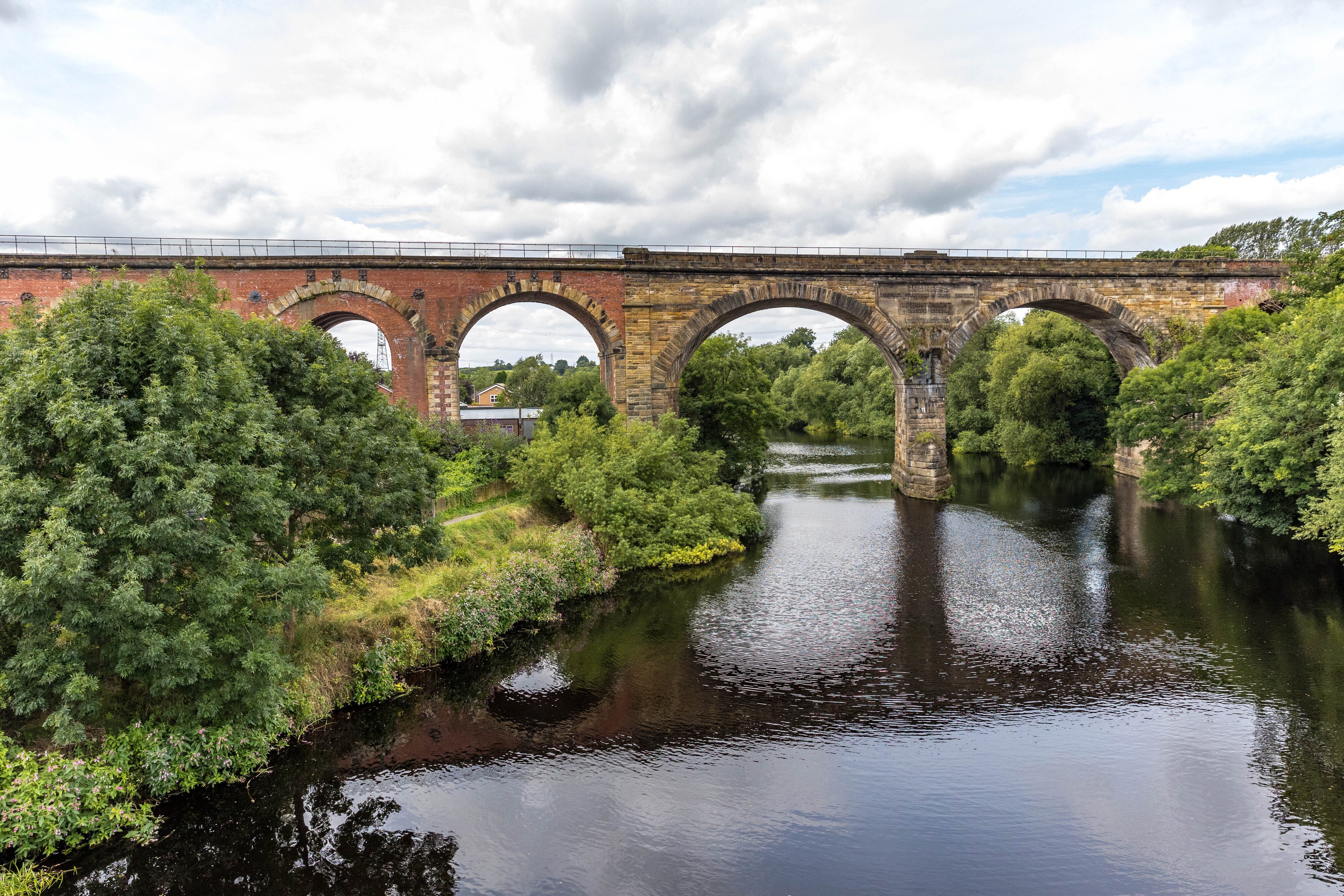 YARM & RIVER TEES_.jpg